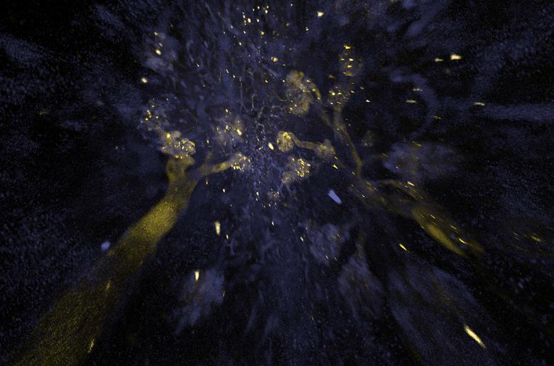 奧林巴斯顯微鏡