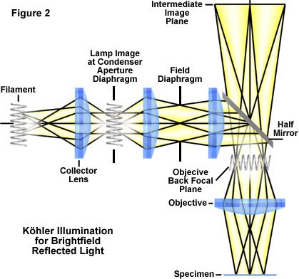 奧林巴斯顯微鏡 reflectkohler