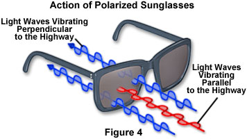 奧林巴斯顯微鏡 polarized light figure4