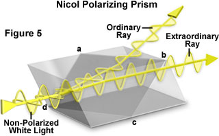 奧林巴斯顯微鏡 polarized light figure5