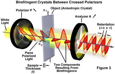 奧林巴斯顯微鏡 opticalbirefringence