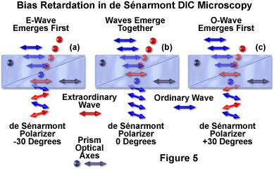 奧林巴斯顯微鏡 de senarmont intro figure5