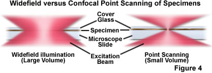 奧林巴斯顯微鏡 confocalintrofigure4
