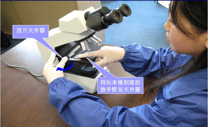 放置標(biāo)本