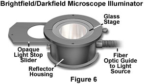 奧林巴斯顯微鏡 stereodarkfieldfigure6