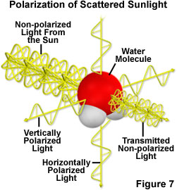 奧林巴斯顯微鏡 polarized light figure7