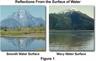 奧林巴斯顯微鏡 reflectionsfigure1