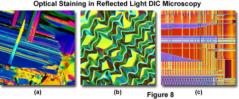 reflecteddicfigure8
