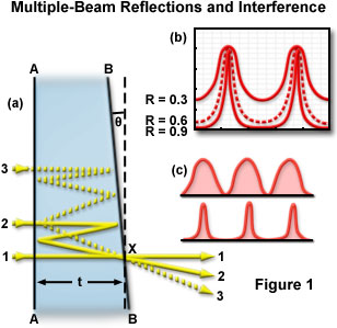 奧林巴斯顯微鏡 multibeam figure1