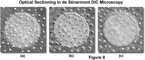 奧林巴斯顯微鏡 de senarmont intro figure8