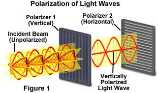 奧林巴斯顯微鏡 polarized light figure1