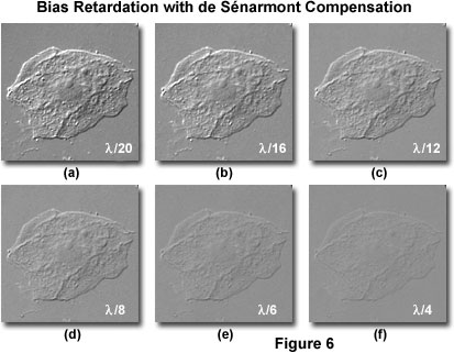 奧林巴斯顯微鏡 de senarmont intro figure6