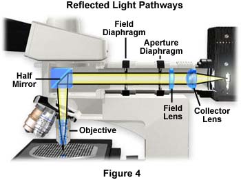 奧林巴斯顯微鏡 reflectpath