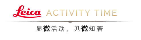 奧林巴斯顯微鏡 奧林巴斯顯微鏡