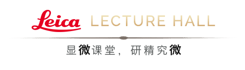 奧林巴斯顯微鏡 奧林巴斯顯微鏡